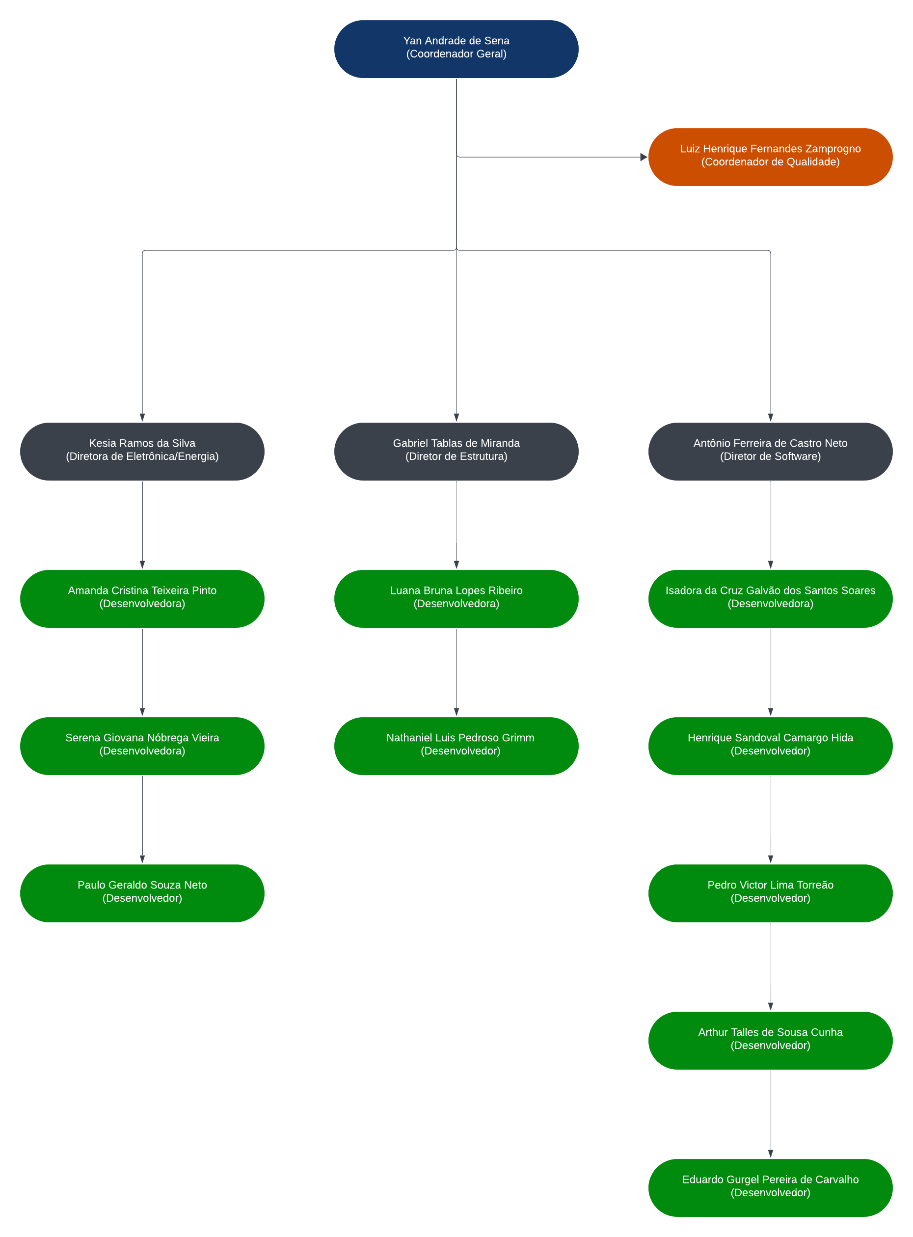 Organização da equipe